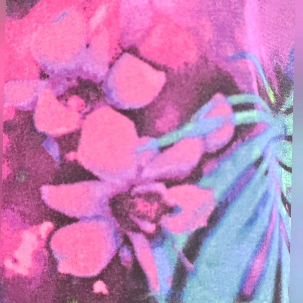 GUESS Blouse - Picture 5 of 8